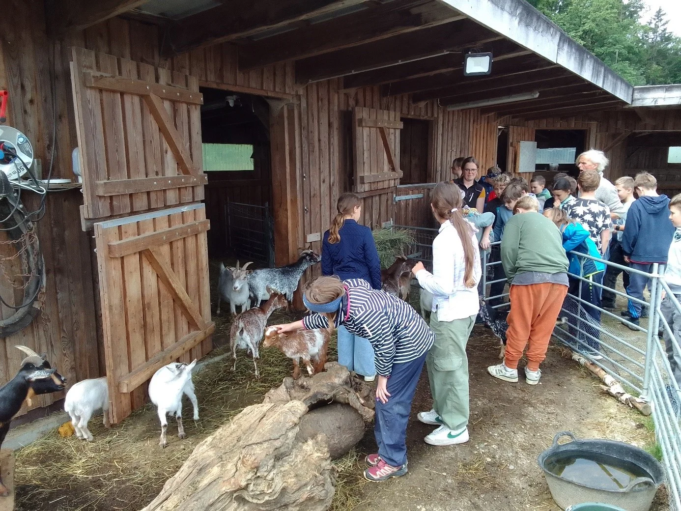 Besuch beim Biohof am Westerbuchberg
